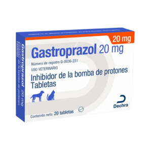 gas20