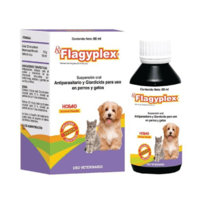 Flagyplex 60ml Suspensión Oral 19