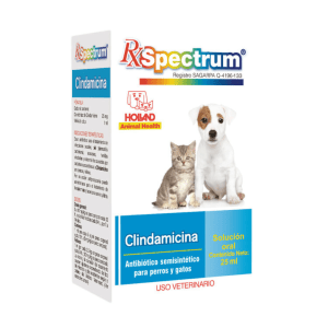 Spectrum Clindamicina Solución Oral 25ml 21