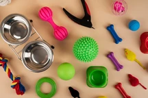 Accesorios para perros