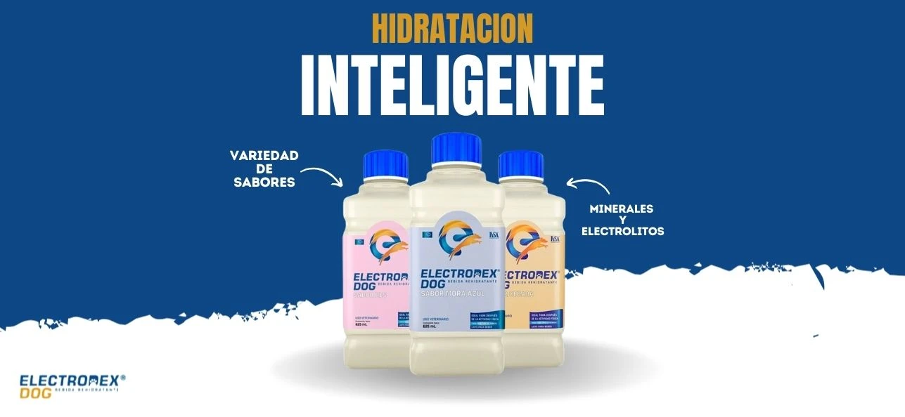 Slide 1, Electrodex, hidratacion inteligente