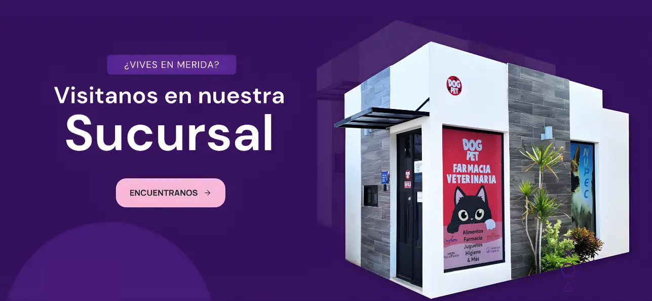 Slide 2, visitanos en nuestra sucursal!